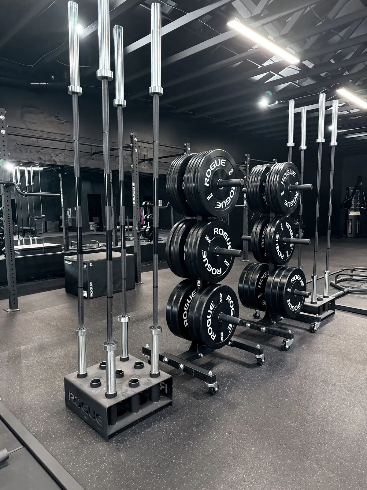 MB Sports Medicine Rogue Equipment San Diego